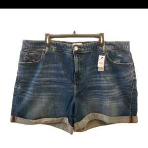 Lane Bryant Medium Blue Rolled-Hem Denim Shorts